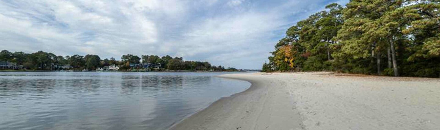 A calm river meeting a sandy beach bordered by a dense green forest