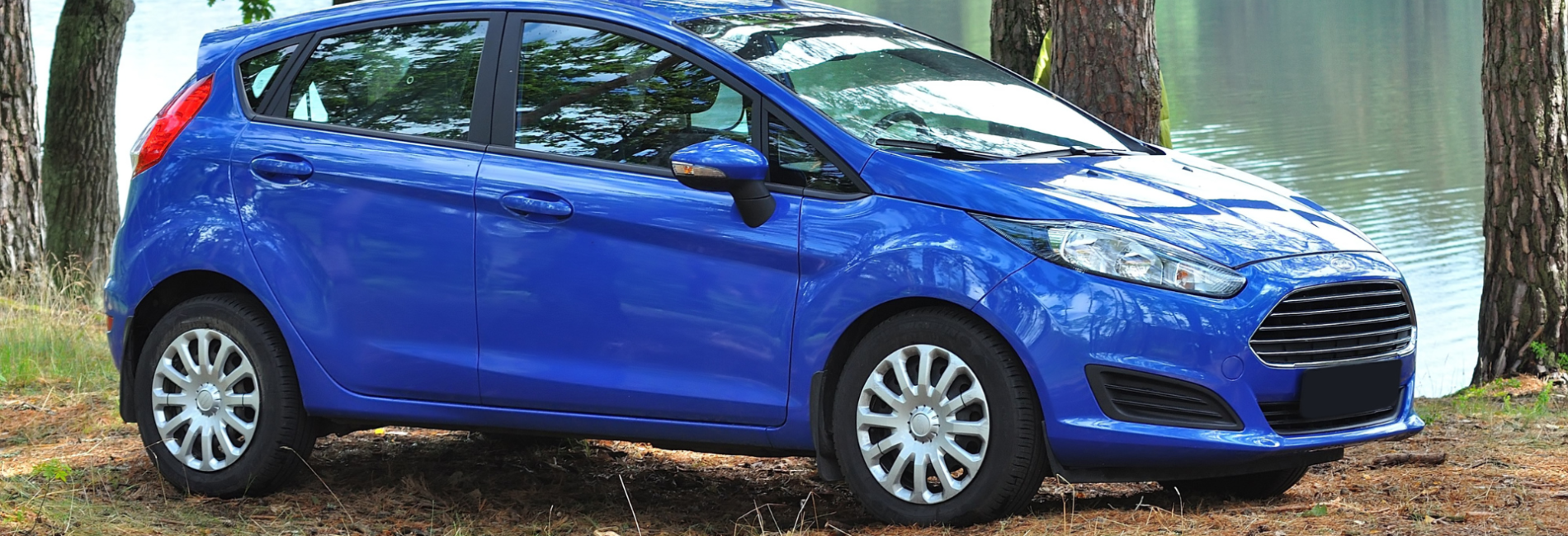 Ford Fiesta parked in woods near body of water