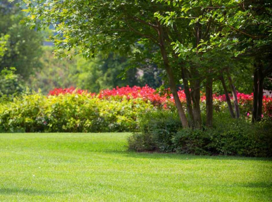 Garden grounds trails