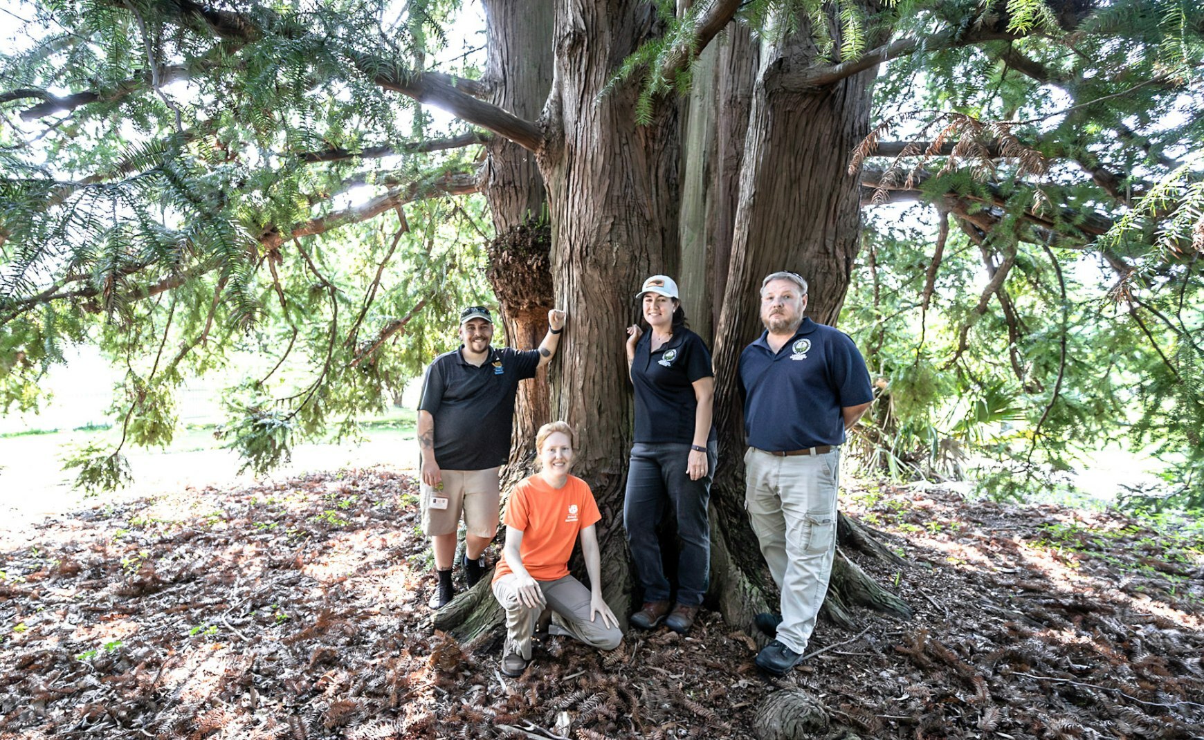 City Arborist Team by tree trunk