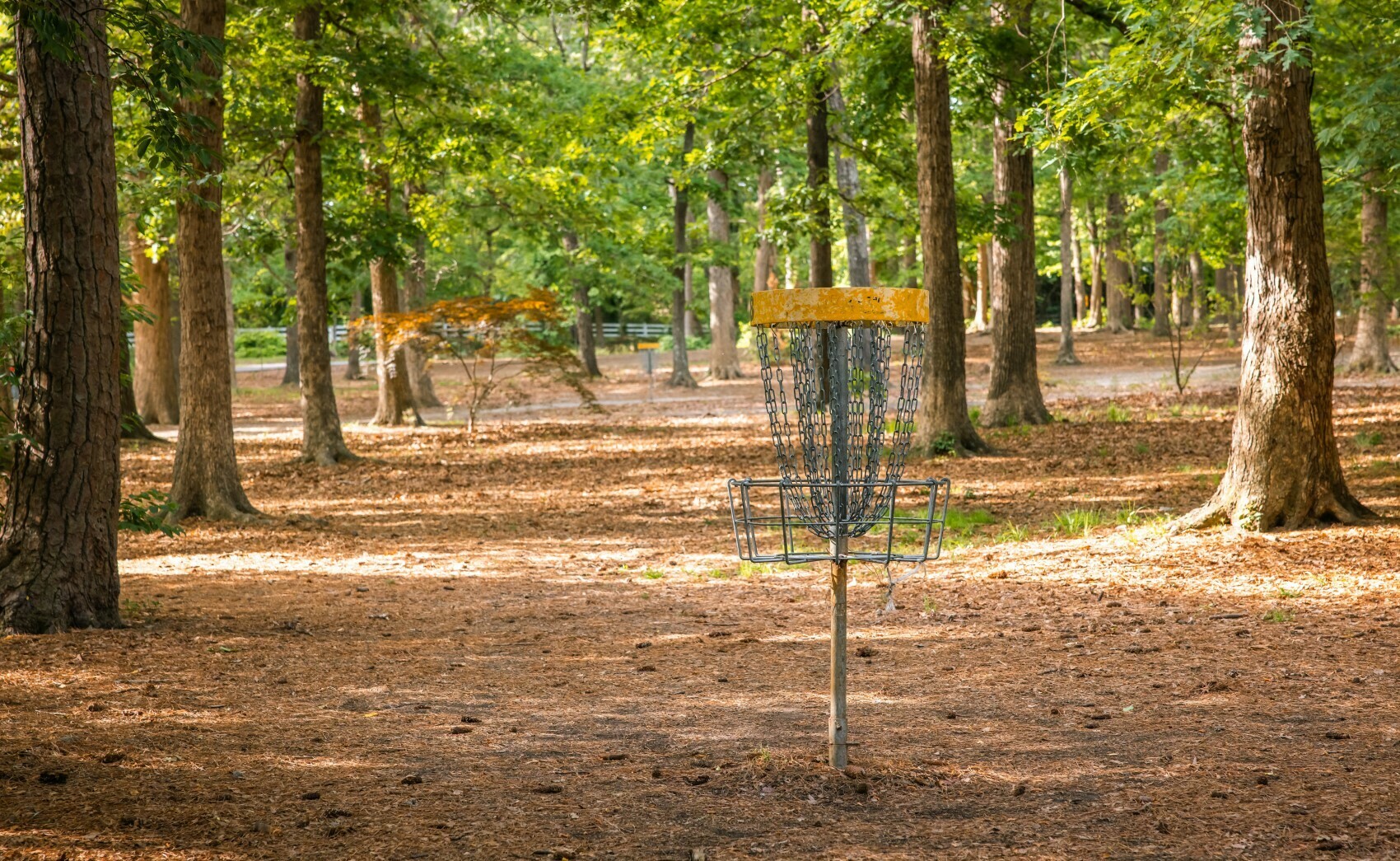 Disc Golf at Bayville Farms Park