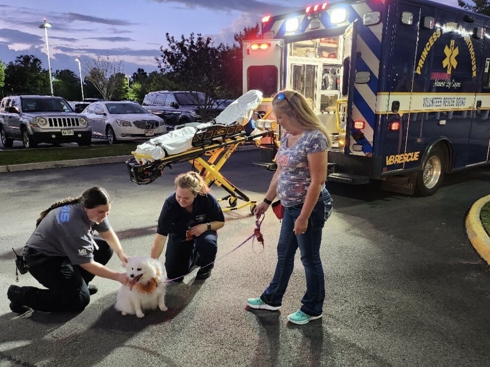 EMS Therapy Dog with EMS members and handler and ambulance in background