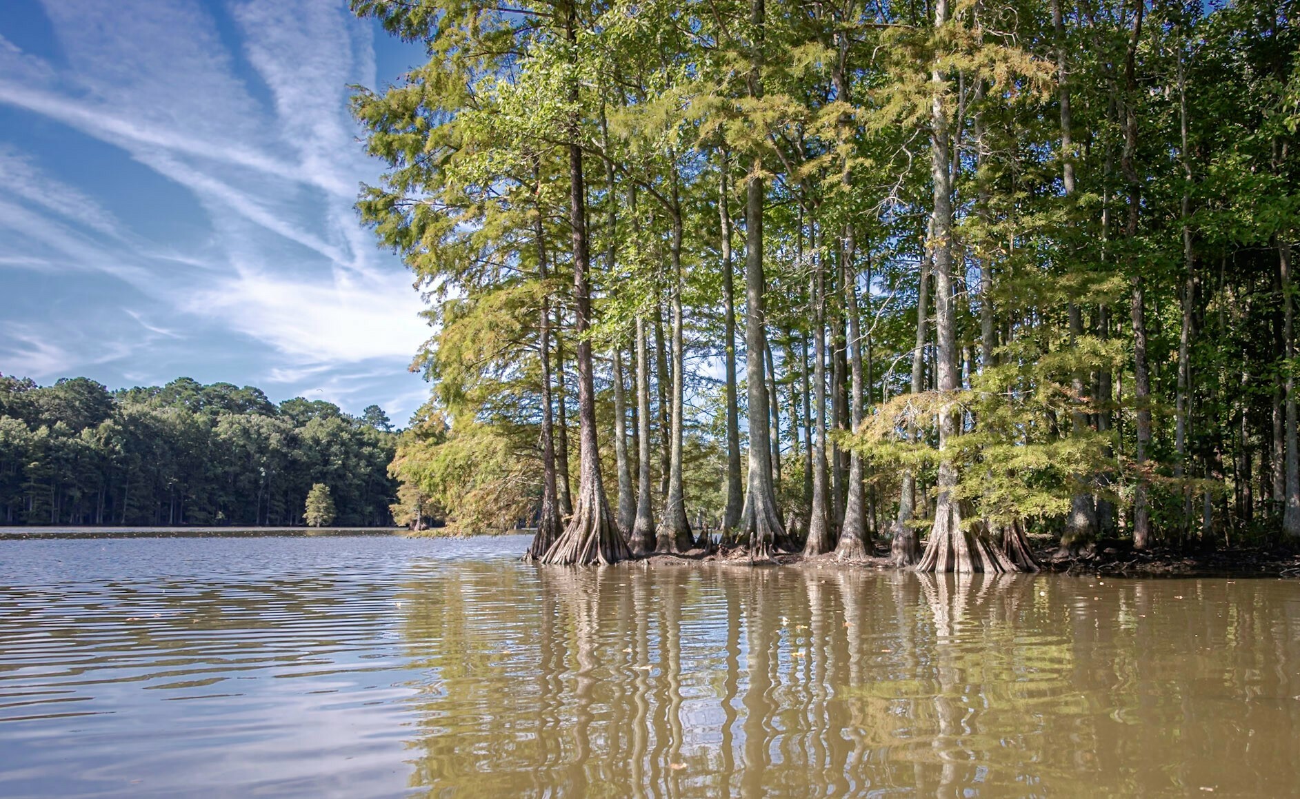 Stumpy Lake Natural area