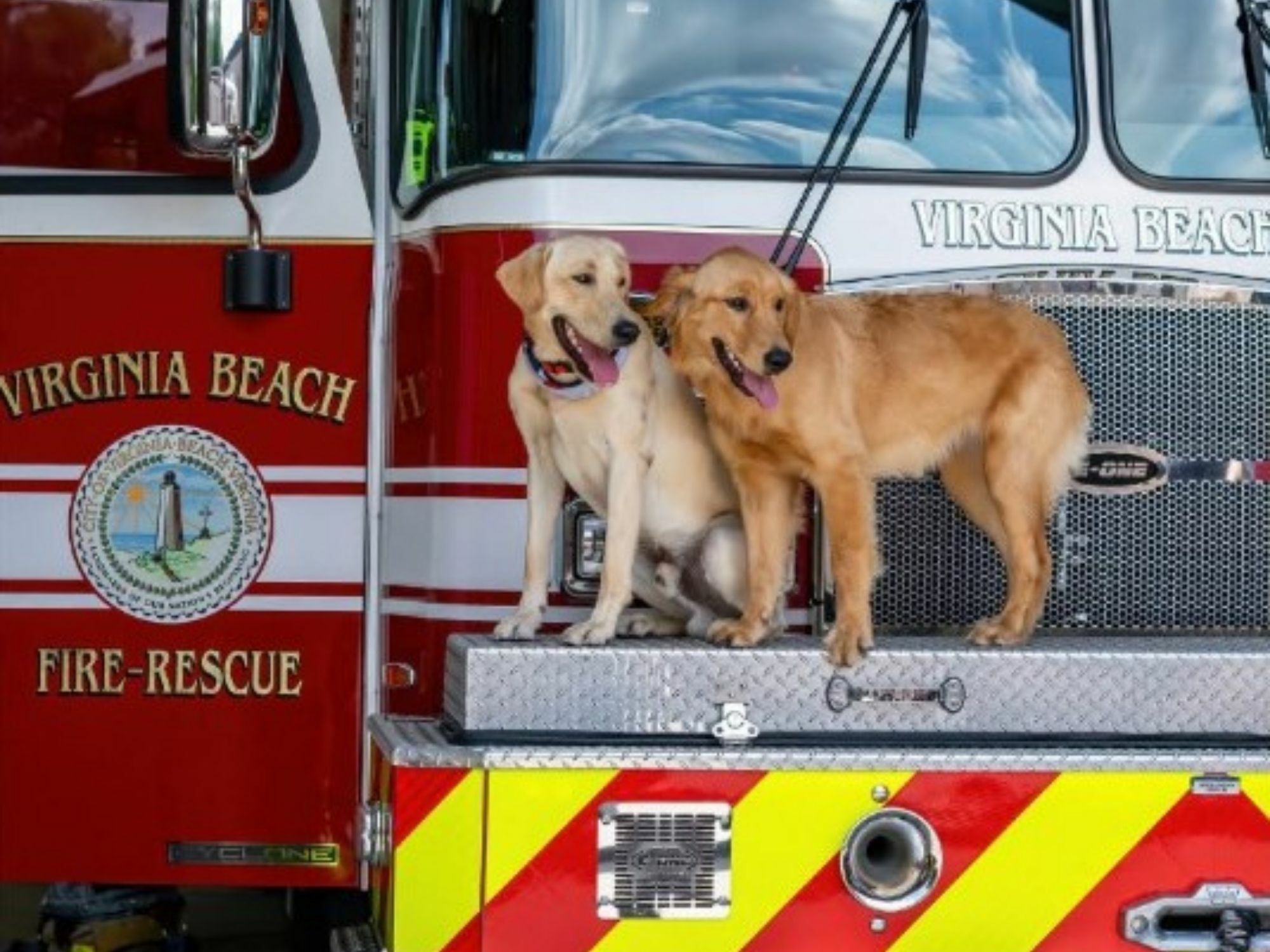 VBFD Therapy Dogs on Truck