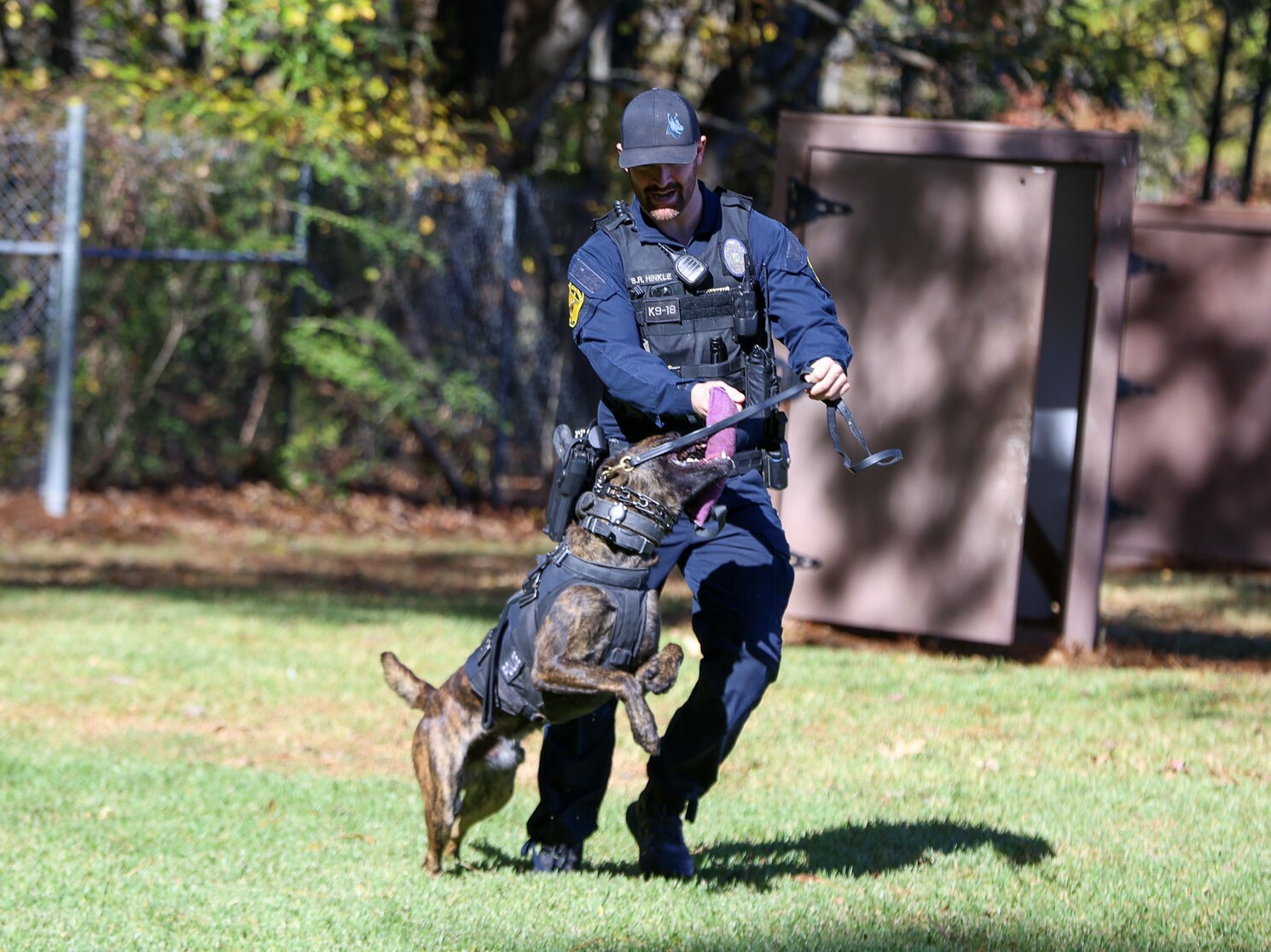VBPD K9 2