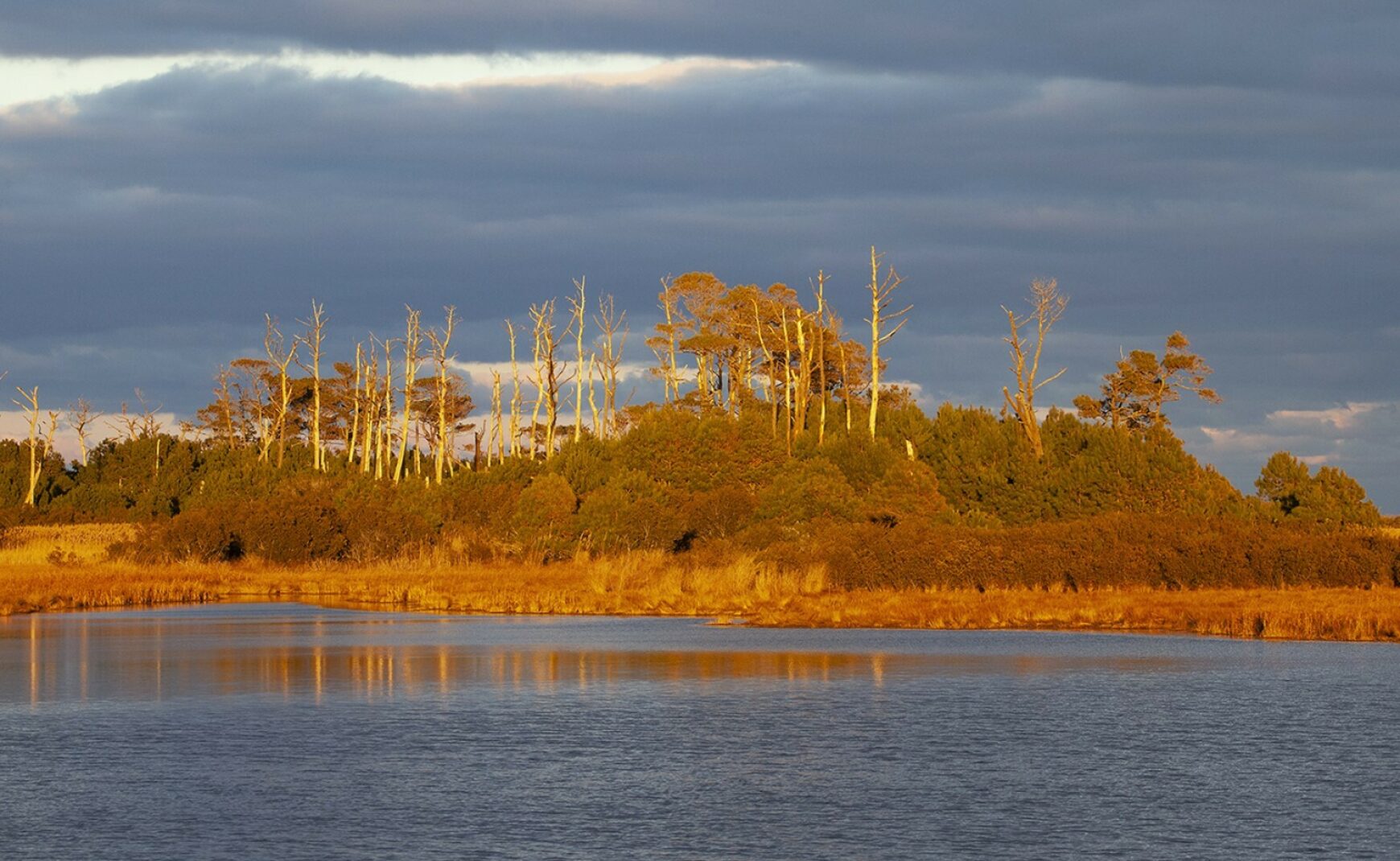 Chincoteague Glow