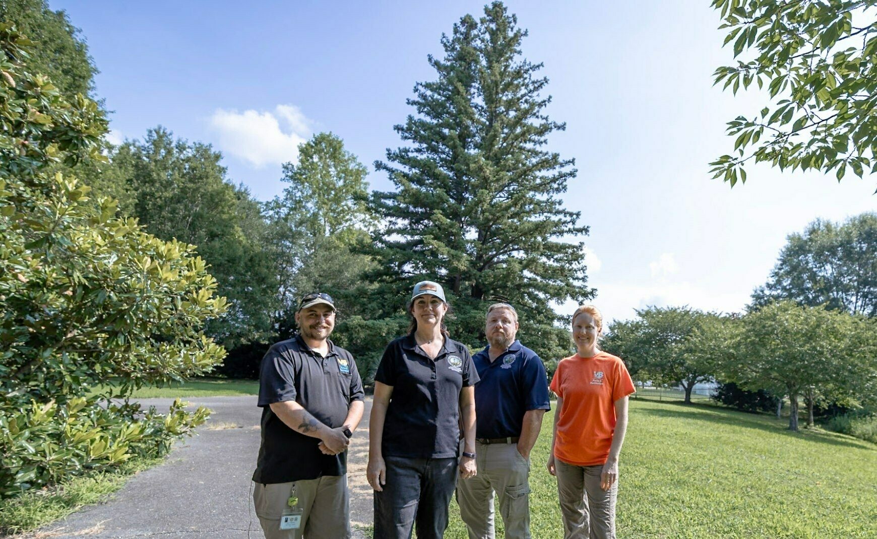 City Arborist Team
