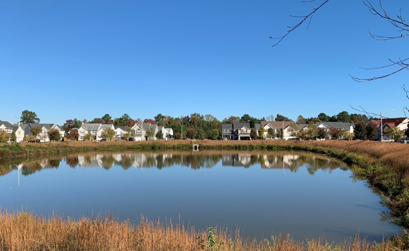 Neighborhood wet pond with houses in background