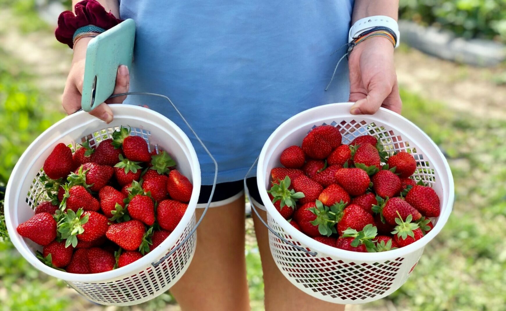 Person holding two buckets full of strawberries