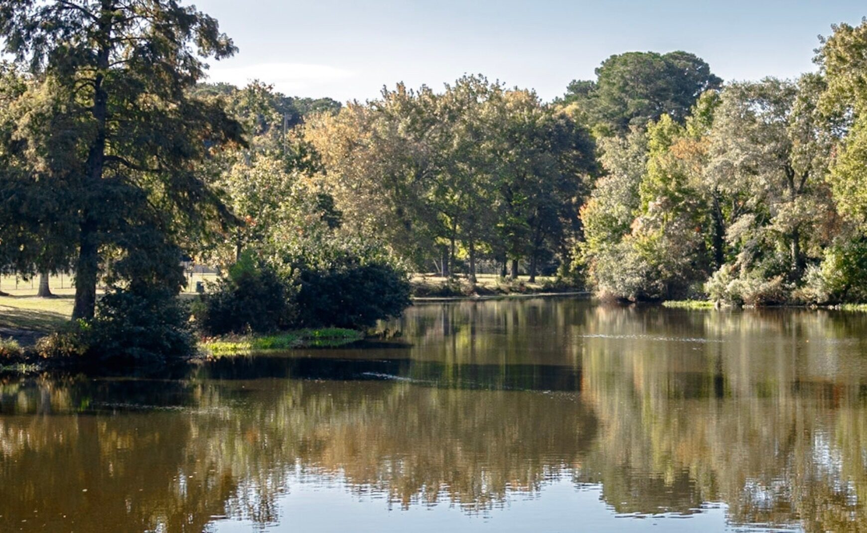 Trees in Bayville Farms