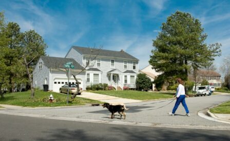 Lady walking dogs in VB Neighborhood
