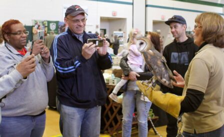 People Taking Photo of Owl at Winter Wildlife Festival