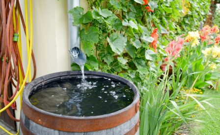 Rain barrel