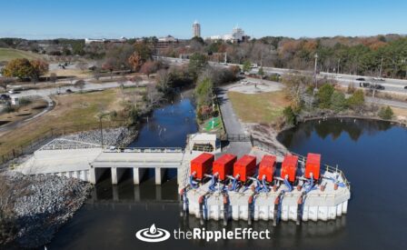 The Ripple Effect Windsor Woods Tide Gate