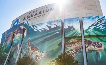 Turtle mural on facade of Virginia Aquarium