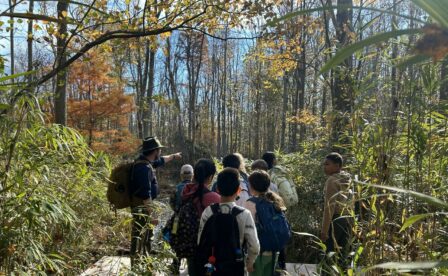 Wilderness Trekkers 2 Fall 2025