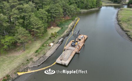 Aerial view Elizabeth Rover Wetland and Floodplain Restoration