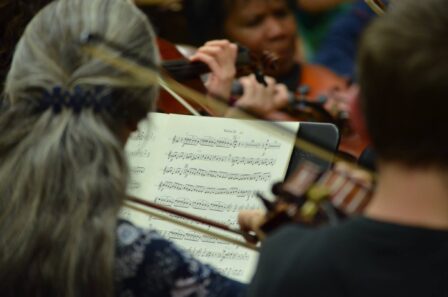 Violin player