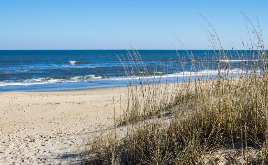 Beach and beach grass