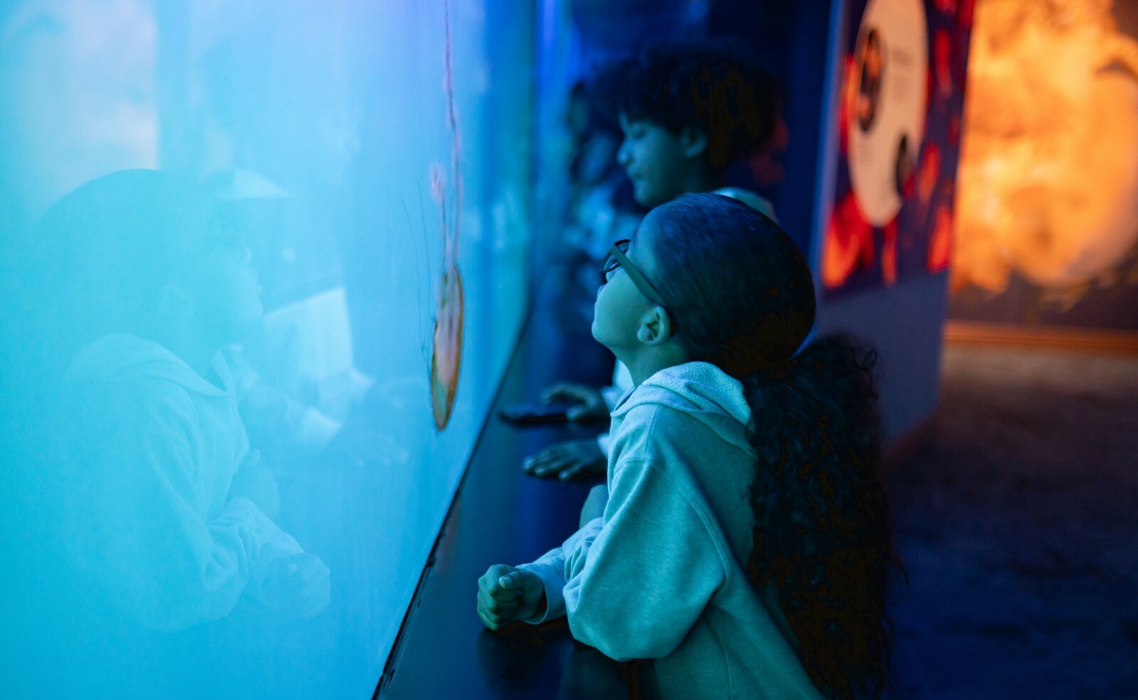 Children looking at jellyfish in aquarium