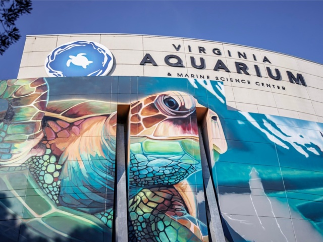 Virginia Aquarium mural