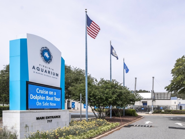 Virginia Aquarium road entrance