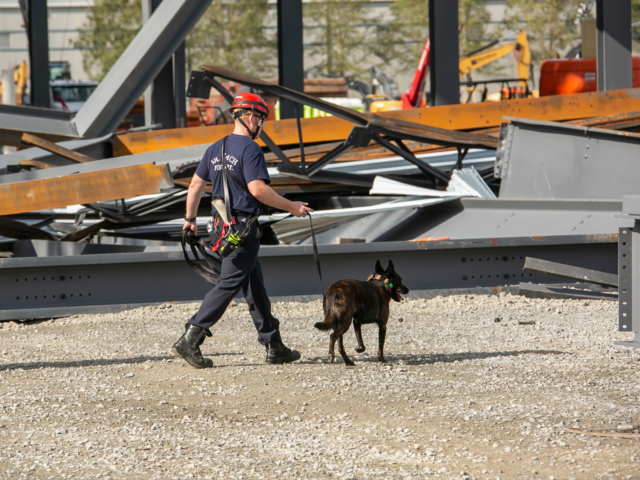 Search and rescue dog with handler walking through steel wreckage
