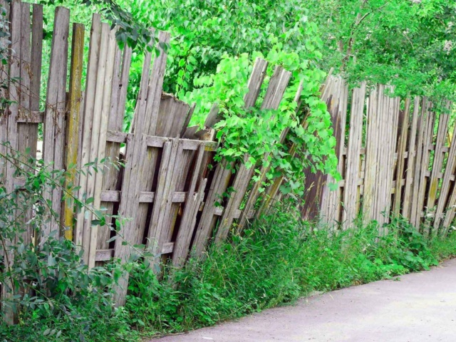 Broken Wooden Fence