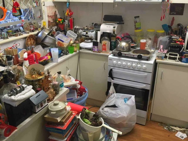 Kitchen Full of Junk