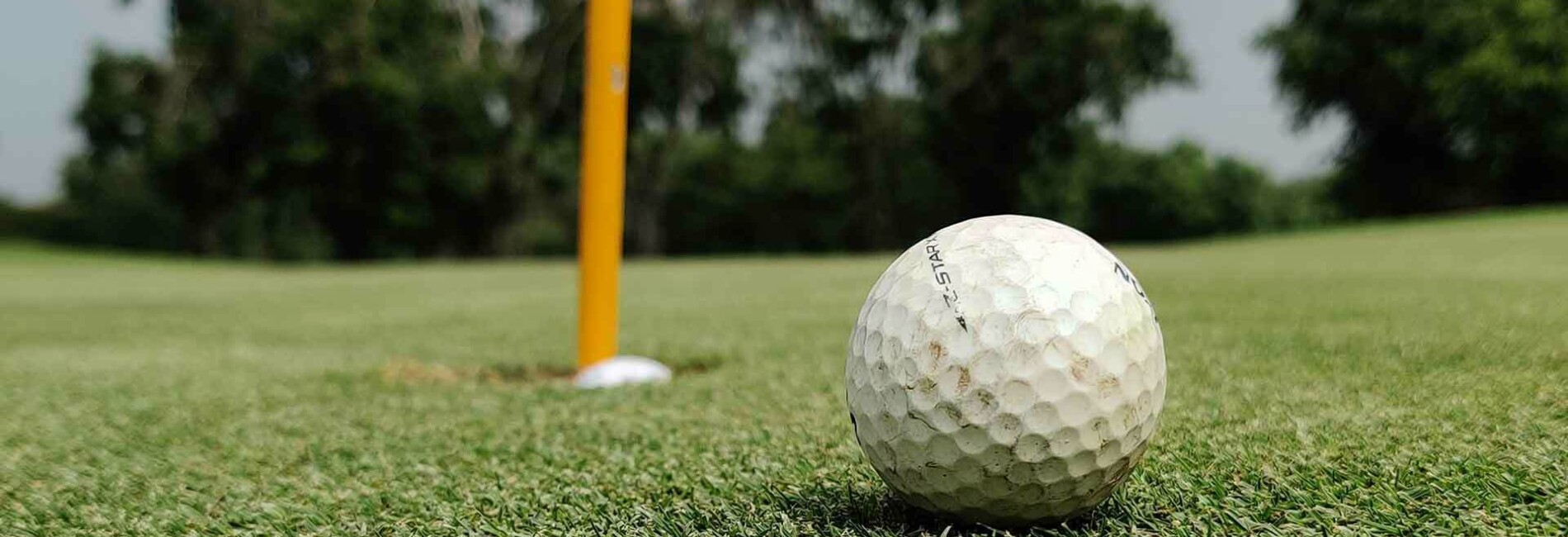 Golf ball by a whole