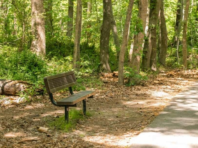 City view park park bench along a wooded trail