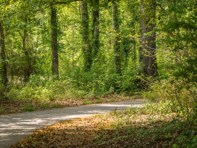 City view park a shaded walking trail