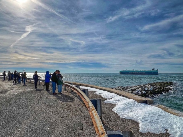 Festival in Action Owen C web