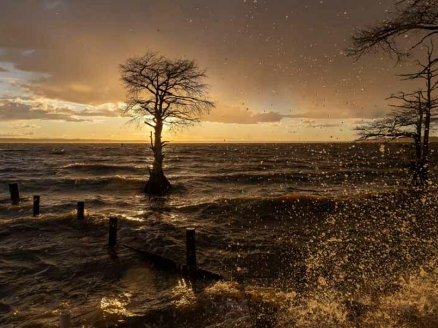 HM Landscape Jones J First Colony Marina