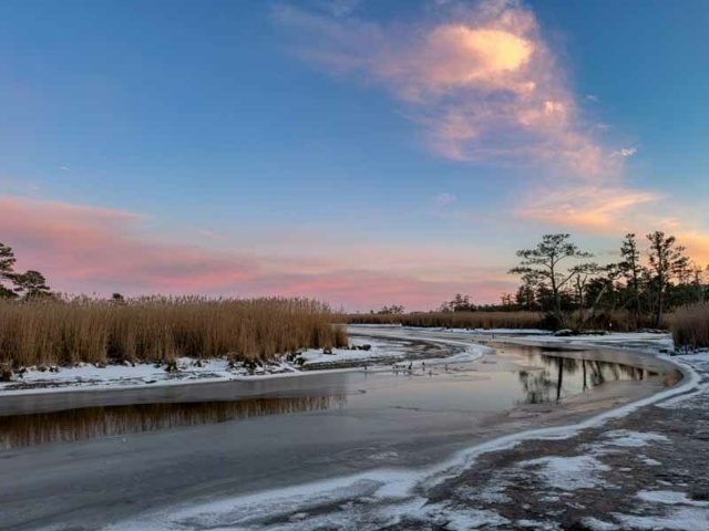 Winner Landscape Chaplain WC Lovitts Landing