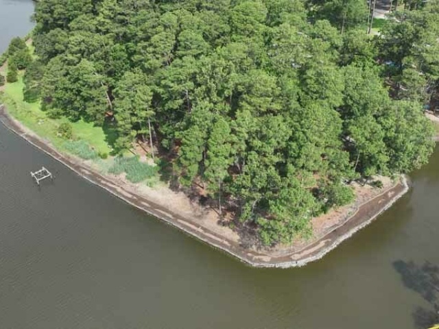 Elizabeth River Wetland and Floodplain Restoration 1
