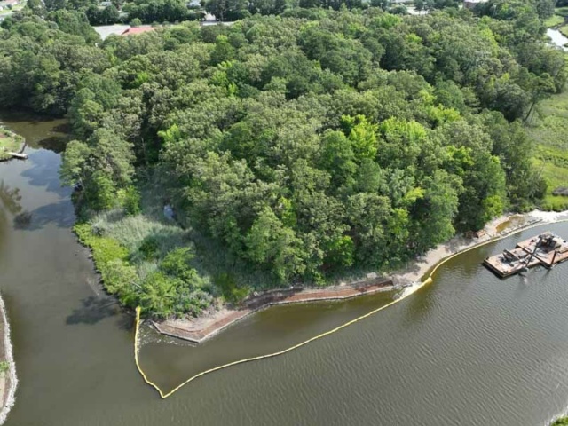Elizabeth River Wetland and Floodplain Restoration 2