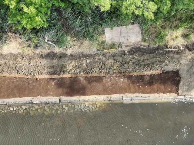 Elizabeth River Wetland and Floodplain Restoration 4