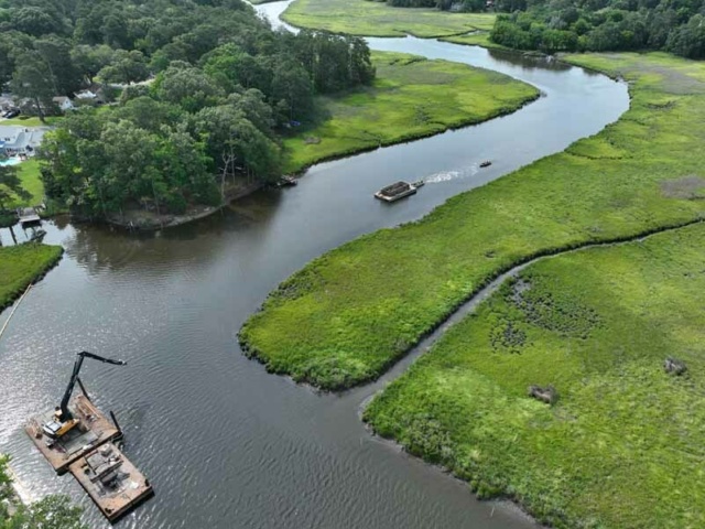 Elizabeth River Wetland and Floodplain Restoration 5