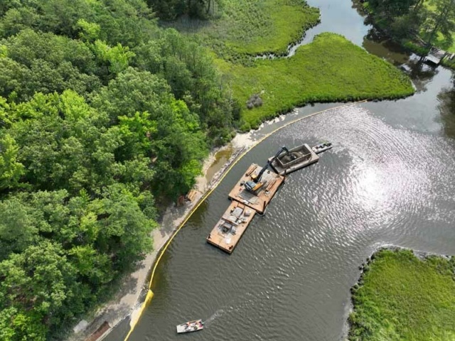 Elizabeth River Wetland and Floodplain Restoration 6