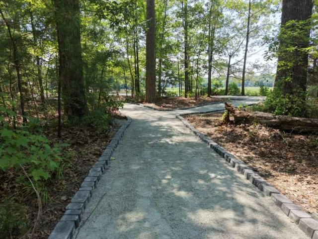 Elizabeth River Wetland and Floodplain Restoration 7