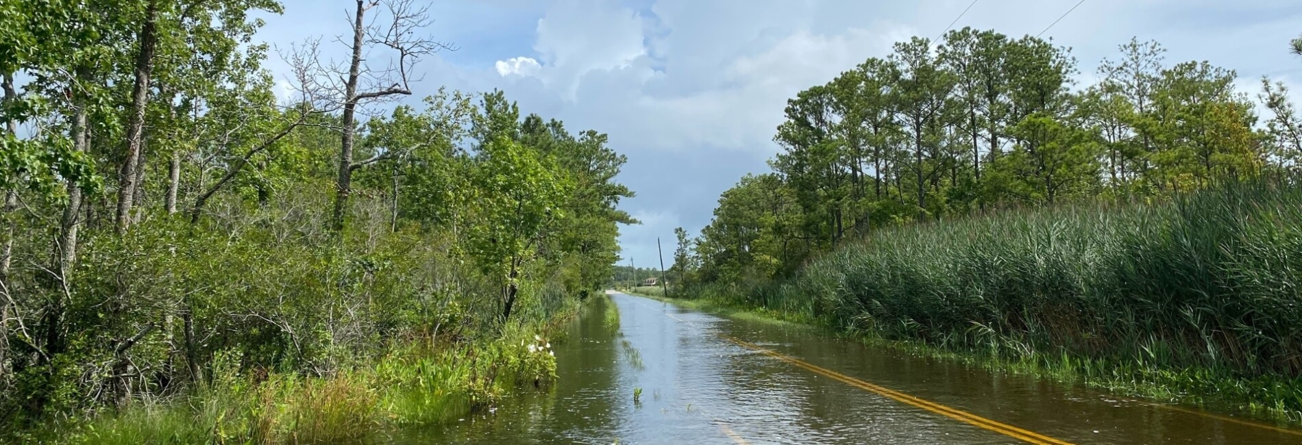 Flooded two lane roadway with vegetation and grass on both sides of road
