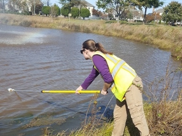 Ashville Creek sampling 1