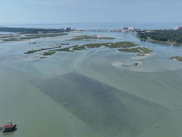 1 Aerial Image of oyster reefs with wetland background