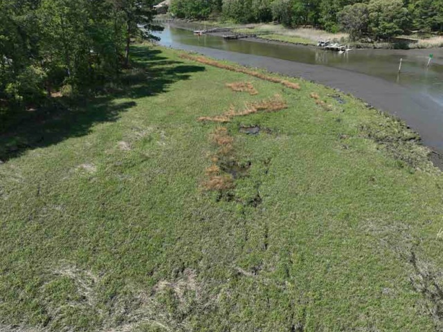 9 Aerial photo of the Phase 1 wetland restoration at Princess Anne High School