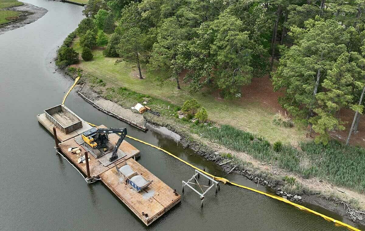 Elizabeth River Wetland and Floodplain Restoration